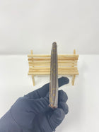 LOUIS VUITTON MONOGRAM POCKET ORGANIZER